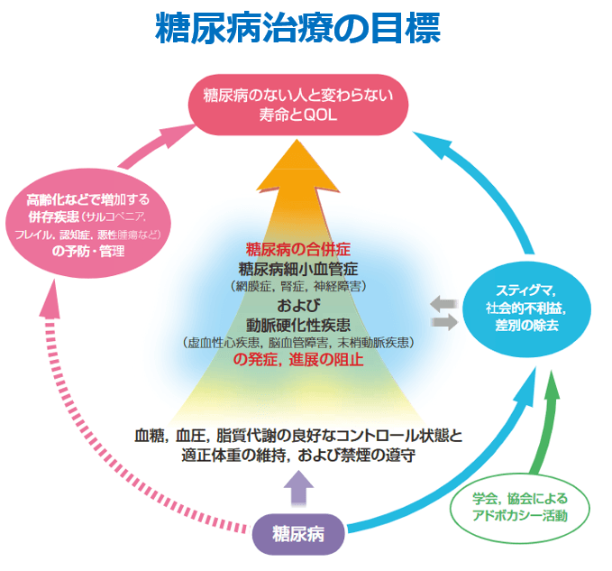 糖尿病治療の目標の概念図。最終目標は「糖尿病のない人と変わらない寿命とQOL」。そのために「血糖、血圧、脂質代謝の良好なコントロール状態と適正体重の維持、および禁煙の遵守」を通じて、「糖尿病の合併症（細小血管症および動脈硬化性疾患）の発症、進展の阻止」を図る。また、併存疾患の予防・管理や、スティグマ・社会的不利益の除去なども関連する要素として描かれている。