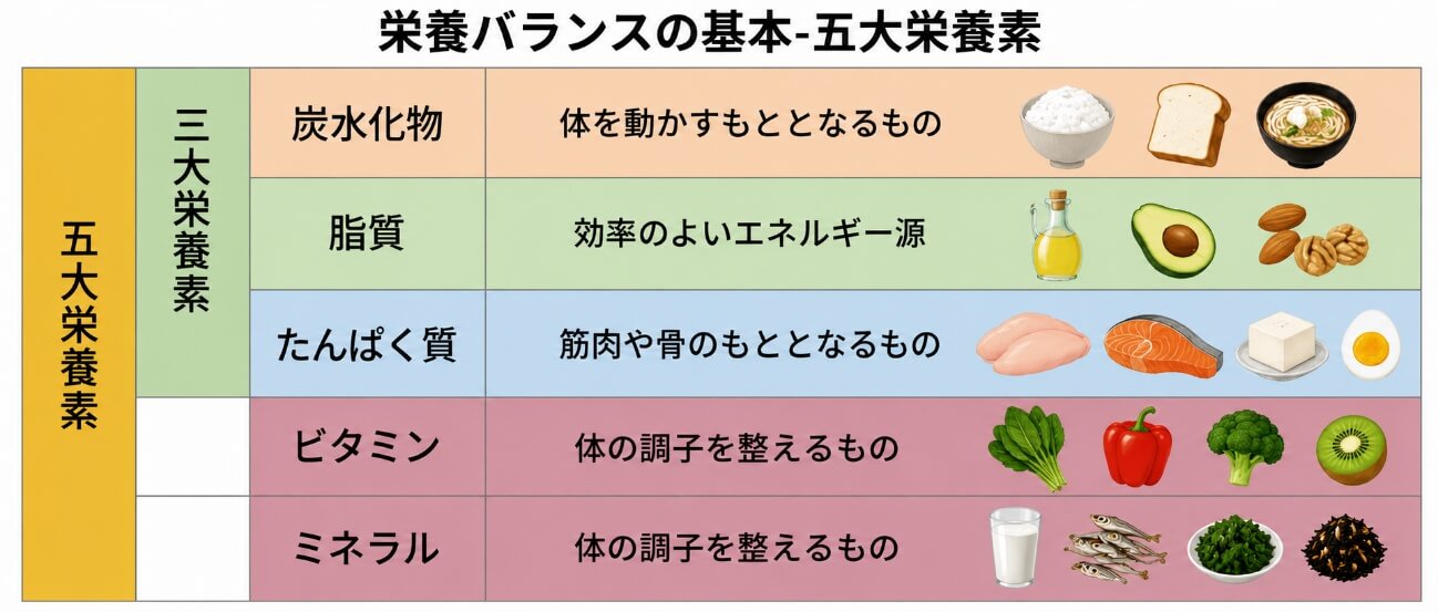 栄養バランスの基本（五大栄養素）。炭水化物・脂質・たんぱく質（三大栄養素）。ビタミン・ミネラル